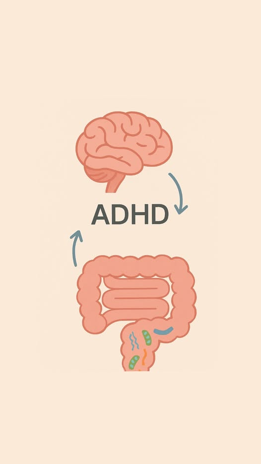 adhd-es-belmikrobiom